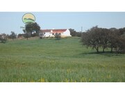 Ver detalhes: Venda Terreno R�stico T3