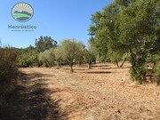 Ver detalhes: Venda Quinta