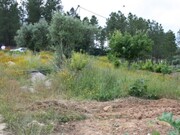 Show profile: Sell Urban Land