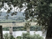 Ver detalhes: Venda Terreno Urbano