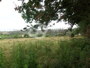 Ver detalhes: Arrendamento Terreno R�stico