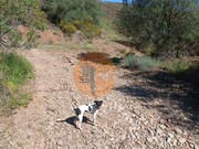 Ver detalhes: Venda Terreno R�stico