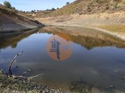 Show profile: Sell Urban Land