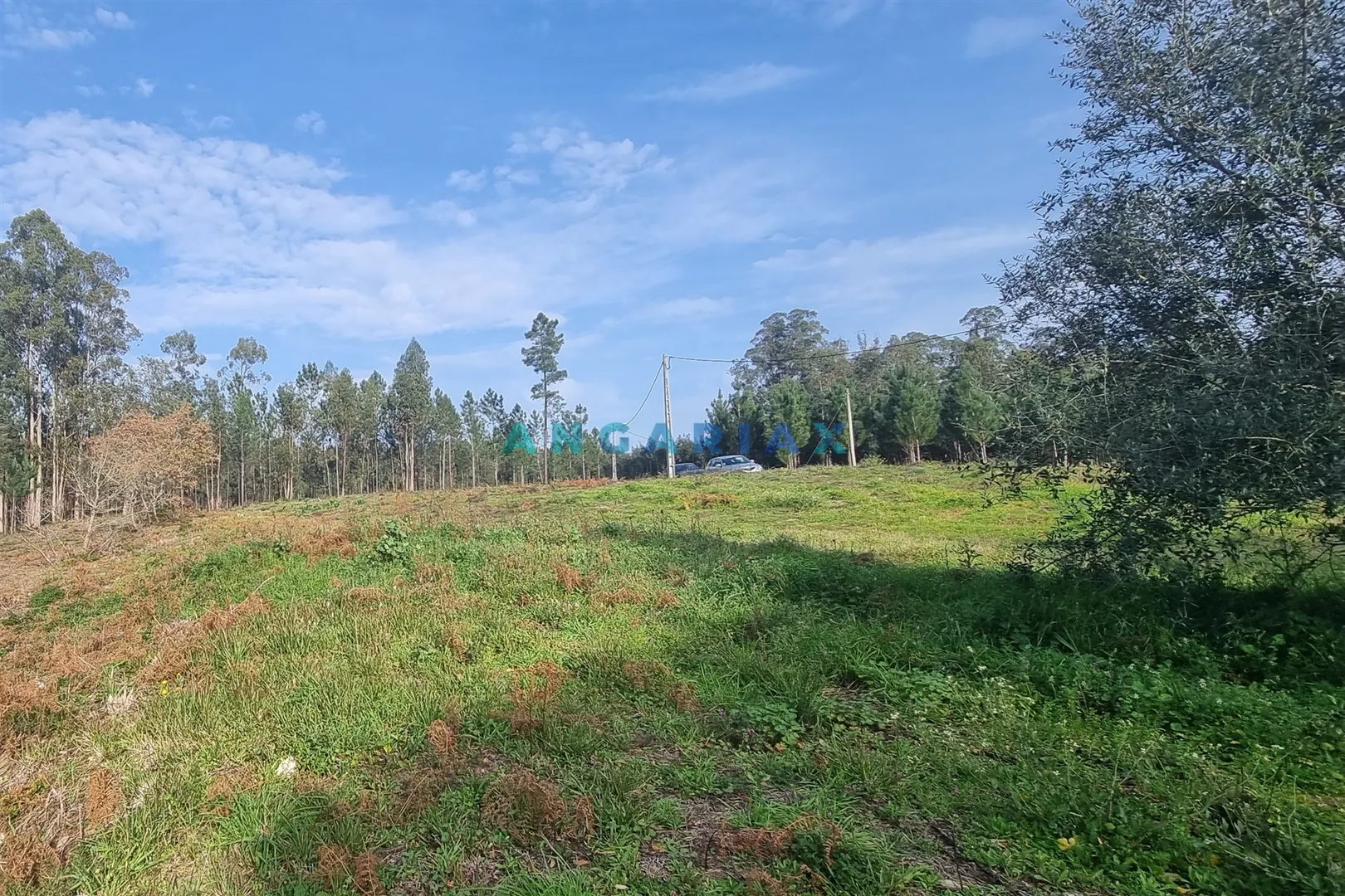 Ver detalhes: Venda Terreno Urbano T0
