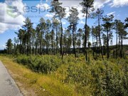 Ver detalhes: Arrendamento Terreno Rstico