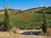 Ver detalhes: Venda Quinta