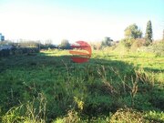 Show profile: Sell Rustic Land