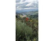 Ver detalhes: Venda Quinta