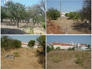 Show profile: Sell Farm