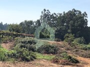 Ver detalhes: Venda Terreno R�stico