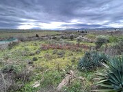 Ver detalhes: Venda Terreno Industrial