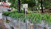 Ver detalhes: Venda Terreno R�stico