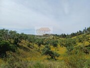 Ver detalhes: Venda Terreno R�stico