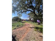 Ver detalhes: Venda Terreno R�stico