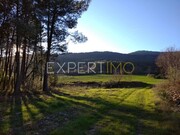 Ver detalhes: Venda Terreno R�stico