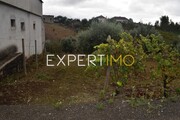 Show profile: Sell Rustic Land