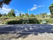 Ver detalhes: Venda Terreno R�stico T0
