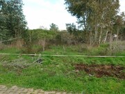 Ver detalhes: Venda Terreno R�stico