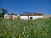 Show profile: Sell Farm