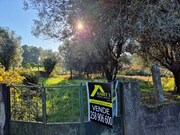 Ver detalhes: Venda Terreno R�stico