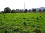 Show profile: Sell Rustic Land