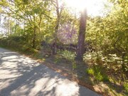 Ver detalhes: Arrendamento Terreno R�stico