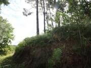 Ver detalhes: Venda Quinta