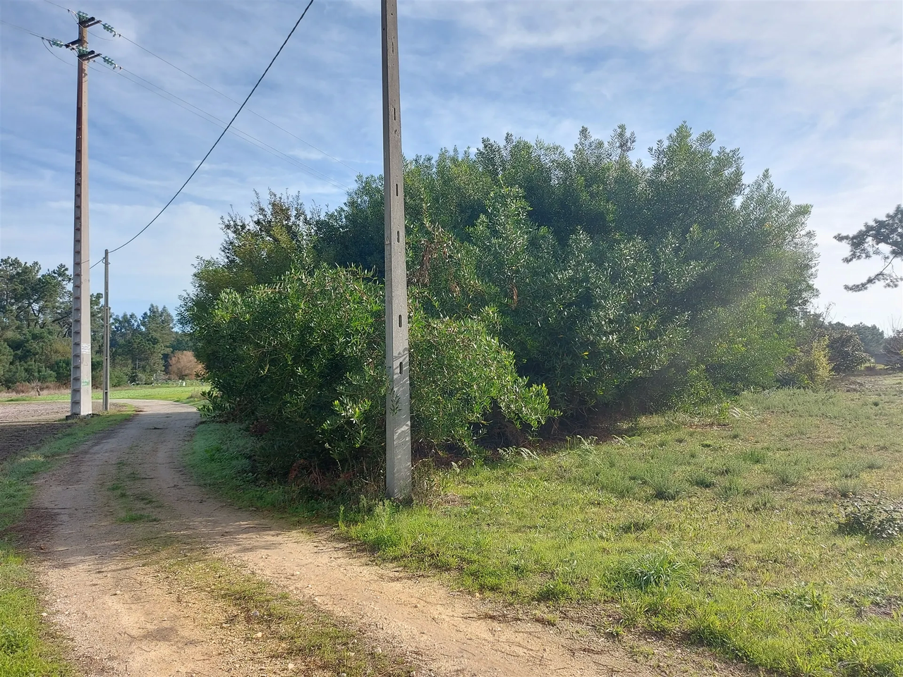 Ver detalhes: Venda Terreno Rstico
