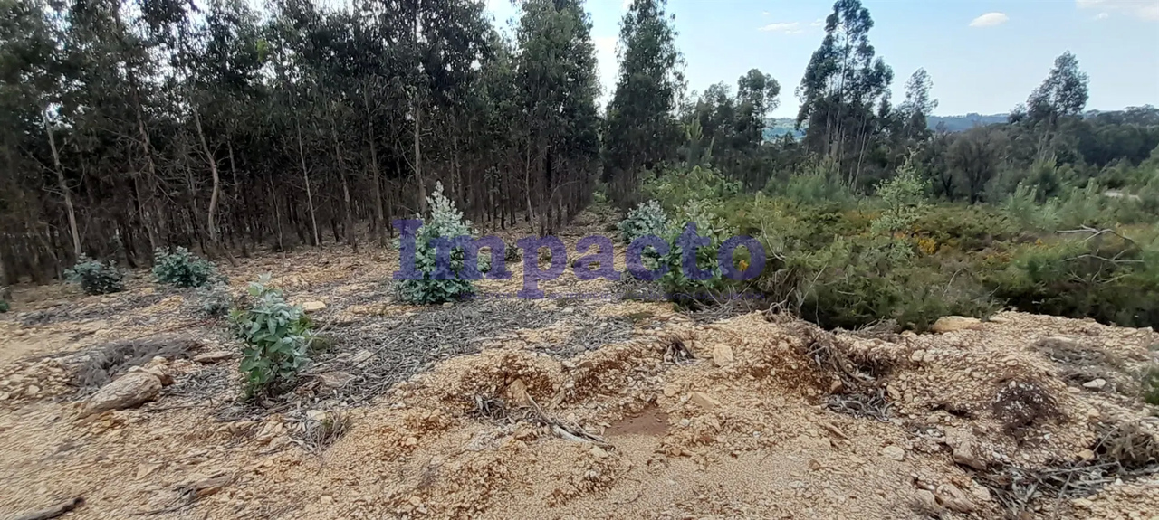 Ver detalhes: Venda Terreno R�stico