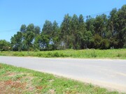 Ver detalhes: Venda Terreno Urbano