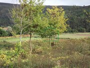 Ver detalhes: Venda Terreno R�stico