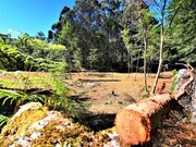 Show profile: Sell Rustic Land