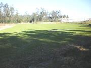 Ver detalhes: Venda Terreno R�stico