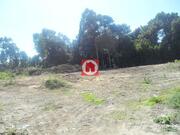 Ver detalhes: Venda Terreno R�stico