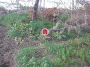 Ver detalhes: Venda Terreno R�stico