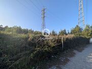 Show profile: Sell Rustic Land