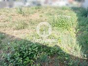 Ver detalhes: Venda Terreno R�stico