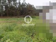 Ver detalhes: Venda Terreno R�stico