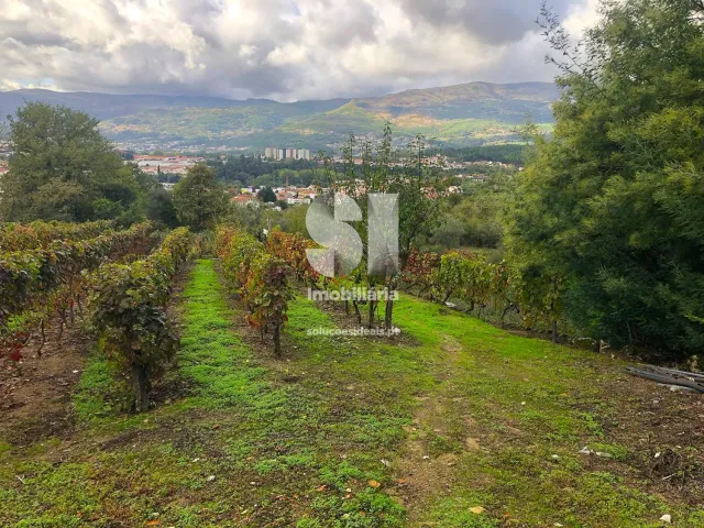 Show profile: Sell Urban Land T0