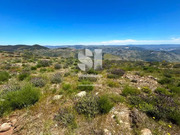 Show profile: Sell Urban Land T0
