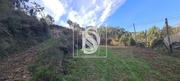 Ver detalhes: Venda Terreno R�stico T0