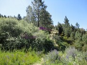 Ver detalhes: Arrendamento Terreno R�stico