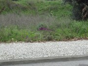 Ver detalhes: Venda Terreno Urbano