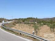 Ver detalhes: Venda Terreno R�stico T0