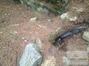 Ver detalhes: Venda Terreno R�stico T0