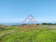 Show profile: Sell Urban Land