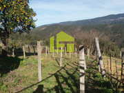 Show profile: Sell House T0