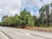 Ver detalhes: Venda Terreno R�stico